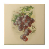 Vintage druiven tegeltje (Voorkant)
