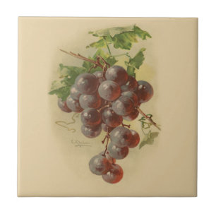 Vintage druiven tegeltje
