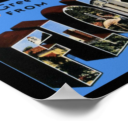 Vintage drukbegroetings Florida Poster (Hoek)