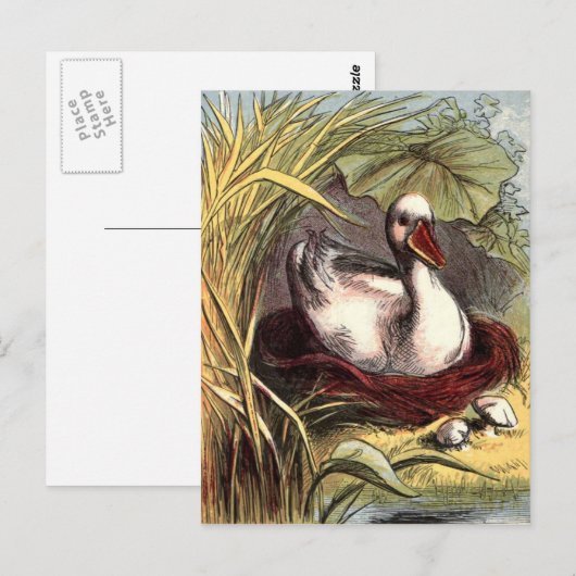 Vintage Duck Briefkaart (Voorkant / Achterkant)
