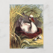 Vintage Duck Briefkaart (Voorkant)