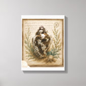 Vintage Duifschelp Botanische Illustratie Kust Canvas Afdruk (Voorkant)