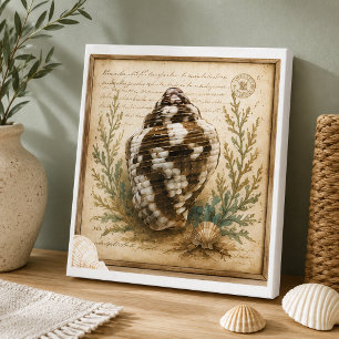 Vintage Duifschelp Botanische Illustratie Kust Canvas Afdruk