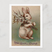 Vintage Easter Bunny Greetings Feestdagenkaart (Voorkant)