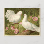 Vintage Easter White Doves Feestdagenkaart (Voorkant)