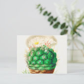 Vintage Echinocactus Cactus geïllustreerd Briefkaart (Staand voorkant)