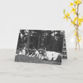 Vintage Edwardiaanse vrouwen Kaart (Gele Bloem)