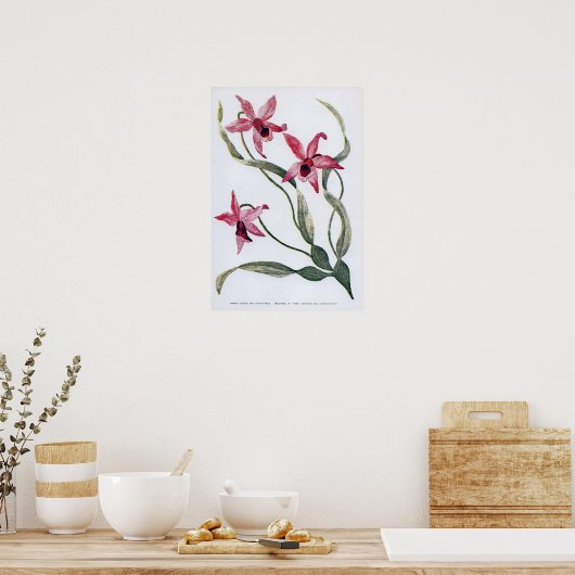 Vintage Edwardian Orchid Poster (Keuken)