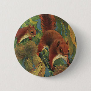 Vintage eekhoorns, bosdieren, wilde dieren ronde button 5,7 cm