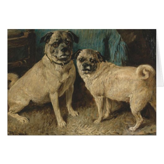 Vintage - een paar pugs, (Voorkant Horizontaal)