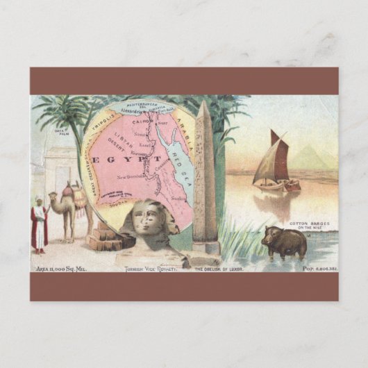 Vintage Egypt Map Briefkaart (Voorkant)