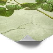 Vintage Elegant Shabby Chic Peonies Poster (Hoek)