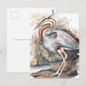 Vintage Elizabeth Gwillim Paars Heron   Briefkaart (Voorkant / Achterkant)