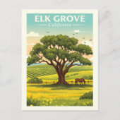 Vintage Elk Grove California Briefkaart (Voorkant)