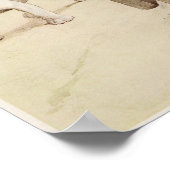 Vintage English Bulldog Illustration Poster (Hoek)