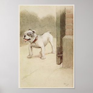 Vintage English Bulldog Illustration Poster