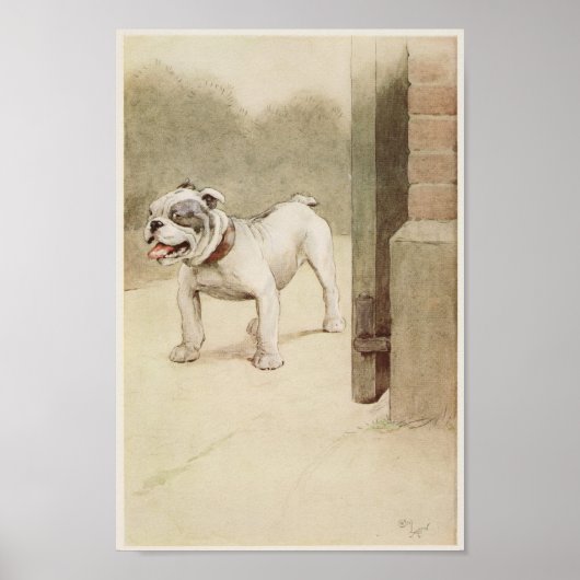 Vintage English Bulldog Illustration Poster (Voorkant)