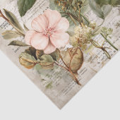Vintage Ephemera Botanische Collage Tissuepapier (Detail)