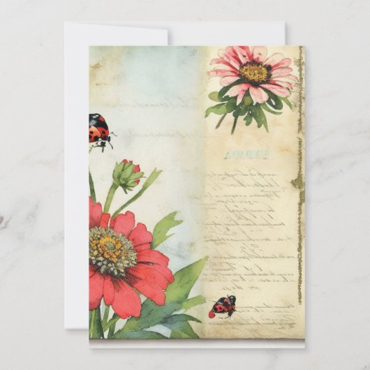 Vintage Ephemera Rood Zinnias Vrijgezellenfeest Kaart (Achterkant)