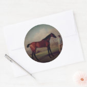 Vintage Equestrian Stickers (Envelop)