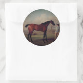 Vintage Equestrian Stickers (Tas)