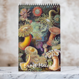 Vintage Ernst Haeckel, Biologie, Plantkunde, Weten Kalender