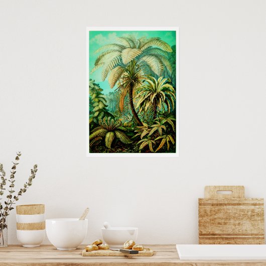 Vintage Ernst Haeckel Botanische Palmen Poster (Keuken)