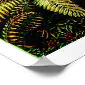 Vintage Ernst Haeckel Botanische Palmen Poster (Hoek)