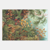 Vintage Ernst Haeckel Botany Design Inpakpapier Vel (Voorkant)