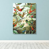 Vintage Ernst Haeckel Hummingbird Canvas Afdruk (Insitu (Houten vloer))