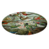 Vintage Ernst Haeckel Hummingbird Snijplank (Hoek)