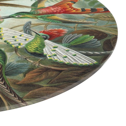 Vintage Ernst Haeckel Hummingbird Snijplank (Hoek)