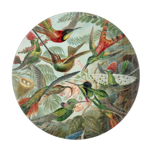 Vintage Ernst Haeckel Hummingbird Snijplank (Voorkant)