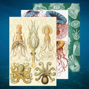 Vintage Ernst Haeckel Marine Life Design Inpakpapier Vel