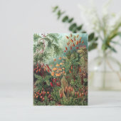 Vintage Ernst Haeckel Moss Poster Briefkaart (Staand voorkant)