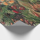 Vintage Ernst Haeckel Moss Poster Cadeaupapier (Hoek)