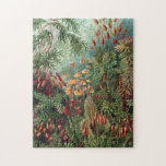 Vintage Ernst Haeckel Moss Poster Legpuzzel<br><div class="desc">Ernst Haeckel Moss</div>