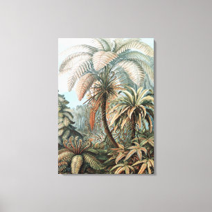 Vintage Ernst Haeckel Palm Trees Poster Canvas Afdruk