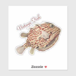 Vintage Ernst Haeckel Zeevaart Rode Koffervis Kuns Sticker