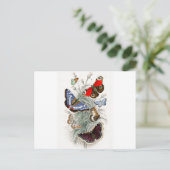 Vintage Europese botervliegen Briefkaart (Staand voorkant)