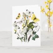 Vintage Europese botervliegen Kaart (Gele Bloem)