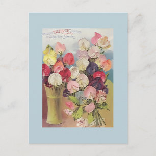 Vintage Excelsior Collectie van Assorted Sweetpeas Briefkaart