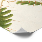 Vintage exotische butervliegen Poster (Hoek)