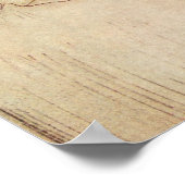 Vintage Fairy Tales, Cinderella by Arthur Rackham Poster (Hoek)