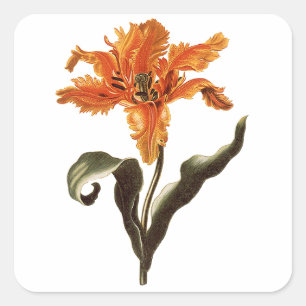 Vintage fancy oranje lelie in bloei, tuinvloeien vierkante sticker