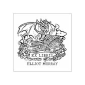 Vintage Fantasy Baby Draak Ex Libris Rubberstempel (Afrduk)