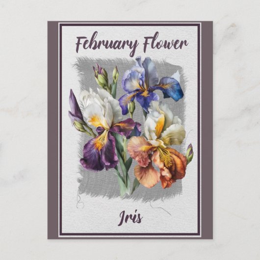 Vintage Februari Bloem Iris Bloemstuk Briefkaart (Voorkant)