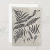 Vintage Ferns Briefkaart (Voorkant / Achterkant)