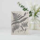 Vintage Ferns Briefkaart (Staand voorkant)