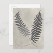 Vintage Ferns Briefkaart (Voorkant / Achterkant)